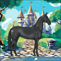 Horse Color:Black 