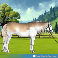 Horse Color:White Spotted Chocolate Palomino Onyx Splash Rabicano