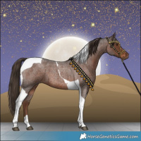 Horse Color:Liver Red Roan Tobiano