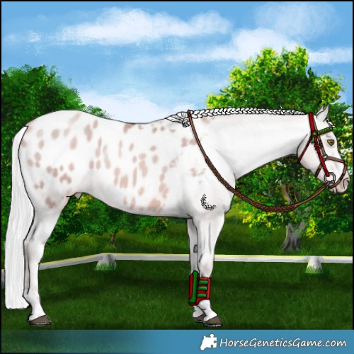 Horse Color:Platinum Silver Brown Pearl Appaloosa 
