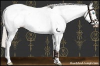 Horse Color:Perlino Fewspot 