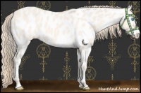 Horse Color:Perlino Dun Near Leopard 