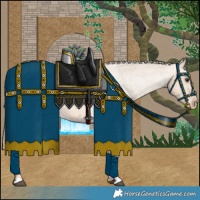 Horse Color:Red Dun Appaloosa