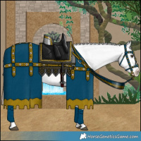 Horse Color:Red Dun Appaloosa