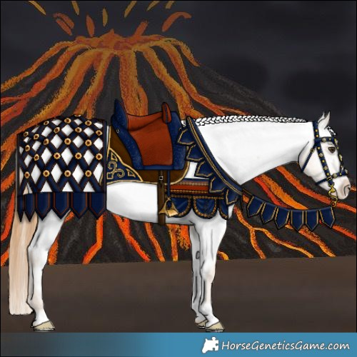 Horse Color:Red Dun Appaloosa