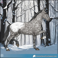 Horse Color:Grullo Snowcap 