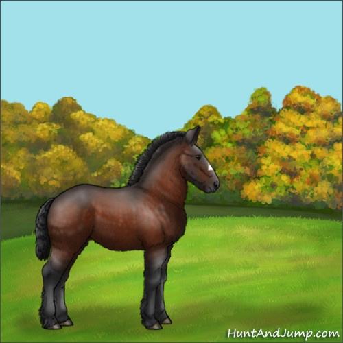 Horse Color:Brown 