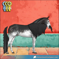 Horse Color:White Spotted Brown 