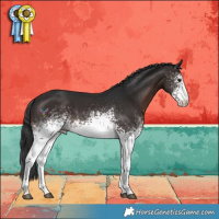 Horse Color:White Spotted Brown 