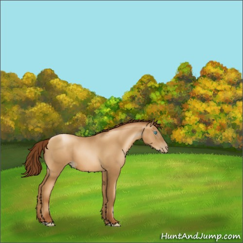 Horse Color:Gray Amber Champagne Pearl 
