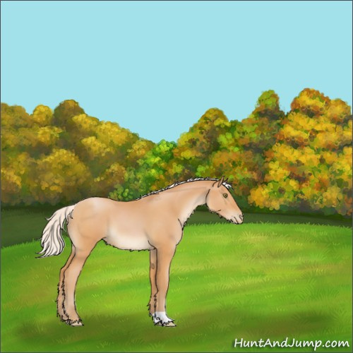 Horse Color:Silver Bay Pearl 