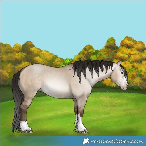 Horse Color:Gray Amber Champagne Dun 