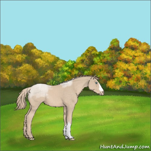 Horse Color:Smoky Creme 