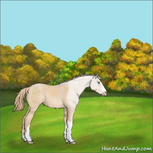 Horse Color:Perlino 