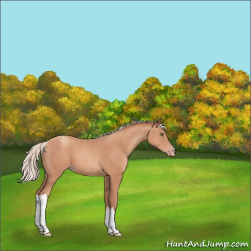 Horse Color:Silver Sable Champagne 