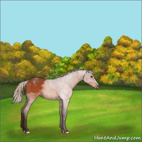 Horse Color:Silver Brown 