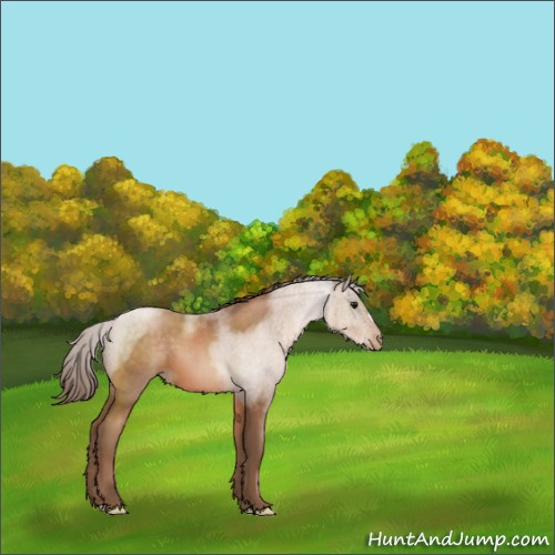 Horse Color:Brown Pearl 