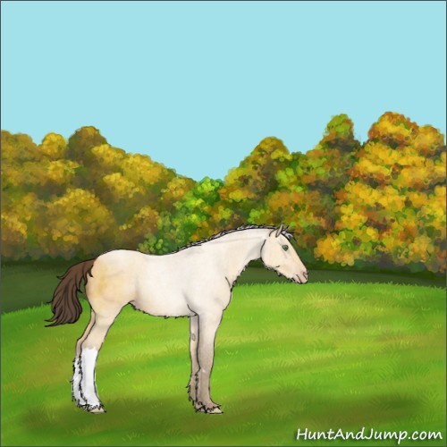 Horse Color:Amber Cream Champagne 