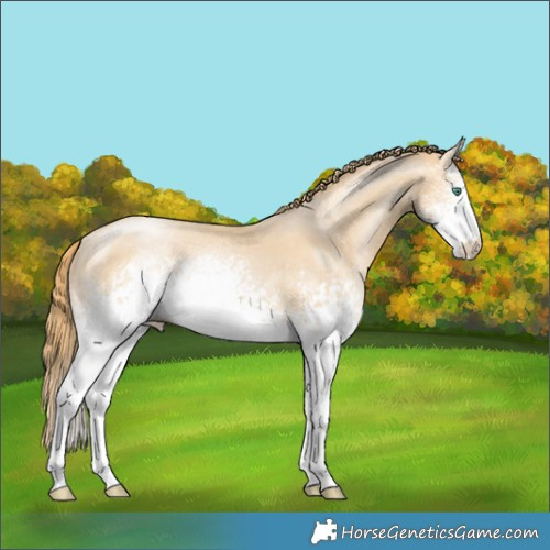 Horse Color:White Spotted Smoky Black Pearl 