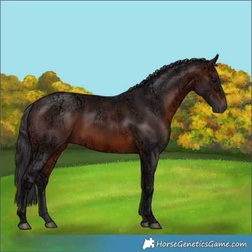 Horse Color:Brown Ice 