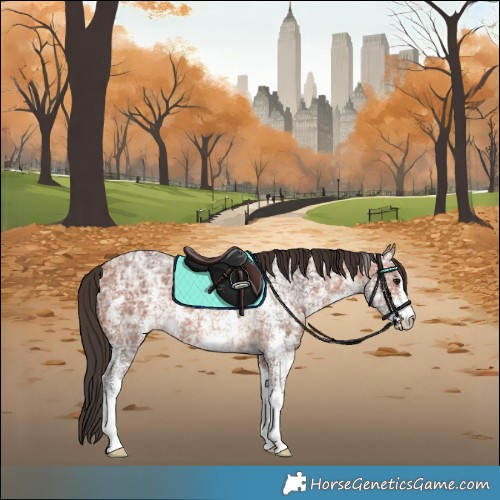 Horse Color:Bay Ice Sabino 