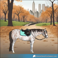 Horse Color:Bay Ice Sabino 