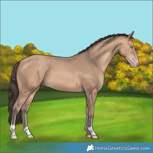 Horse Color:Amber Champagne 