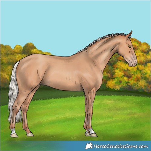 Horse Color:Silver Amber Champagne 