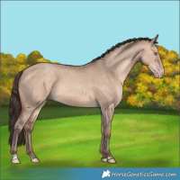 Horse Color:Sable Champagne Dun 