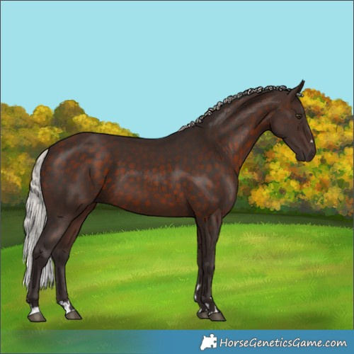 Horse Color:Silver Brown 