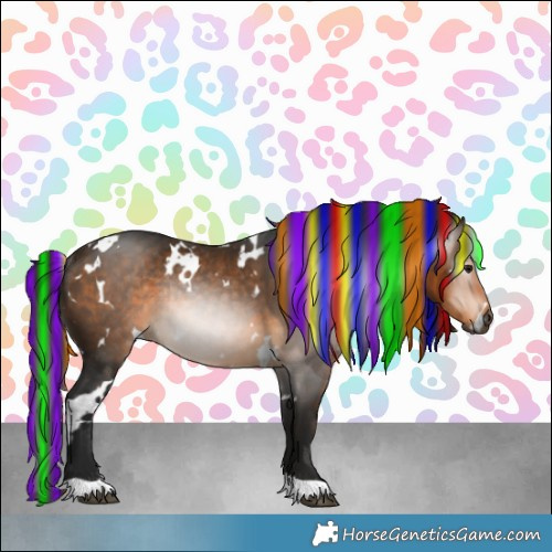 Horse Color:Gray Painted White Spotted Buckskin Rabicano 