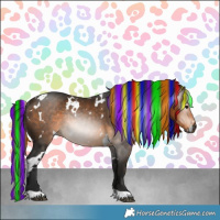 Horse Color:Gray Painted White Spotted Buckskin Rabicano 