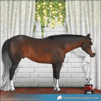 Horse Color:Brown 
