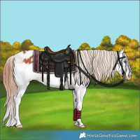 Horse Color:Chestnut Splash Blanket 
