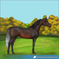 Horse Color:Brown 