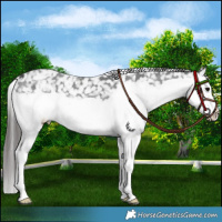 Horse Color:Black Splash Snowcap 