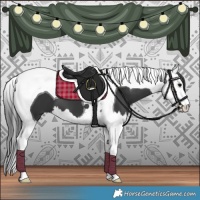 Horse Color:Black Splash Tobiano