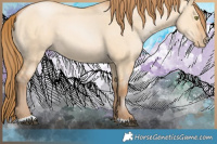 Horse Color:Bay Pearl Dun