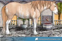Horse Color:Gold Champagne Sabino Splash Rabicano 