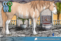 Horse Color:Gold Champagne Sabino Splash Rabicano 