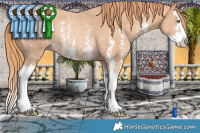 Horse Color:Gold Champagne Sabino Splash Rabicano 