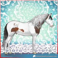 Horse Color:Brown Splash Tobiano 