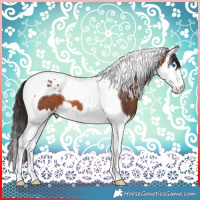 Horse Color:Brown Splash Tobiano