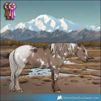 Horse Color:White Spotted Liver Red Dun Mushroom 