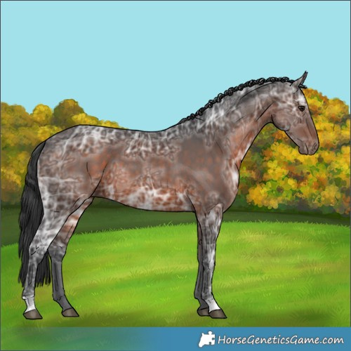 Horse Color:Brown Ice 