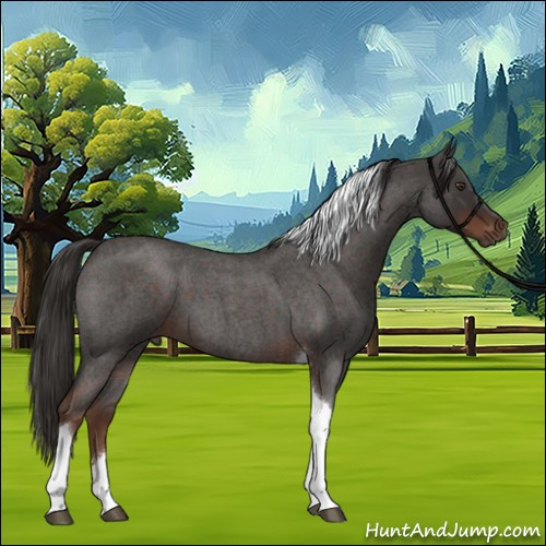 Horse Color:Liver Red Roan Tobiano 