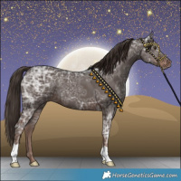 Horse Color:Liver Chestnut Ice 