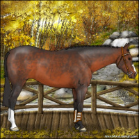 Horse Color:Brown 