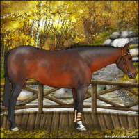 Horse Color:Brown 