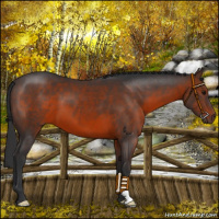 Horse Color:Brown 